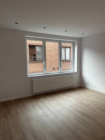 imgi_51_IMG_0782-1-scaled